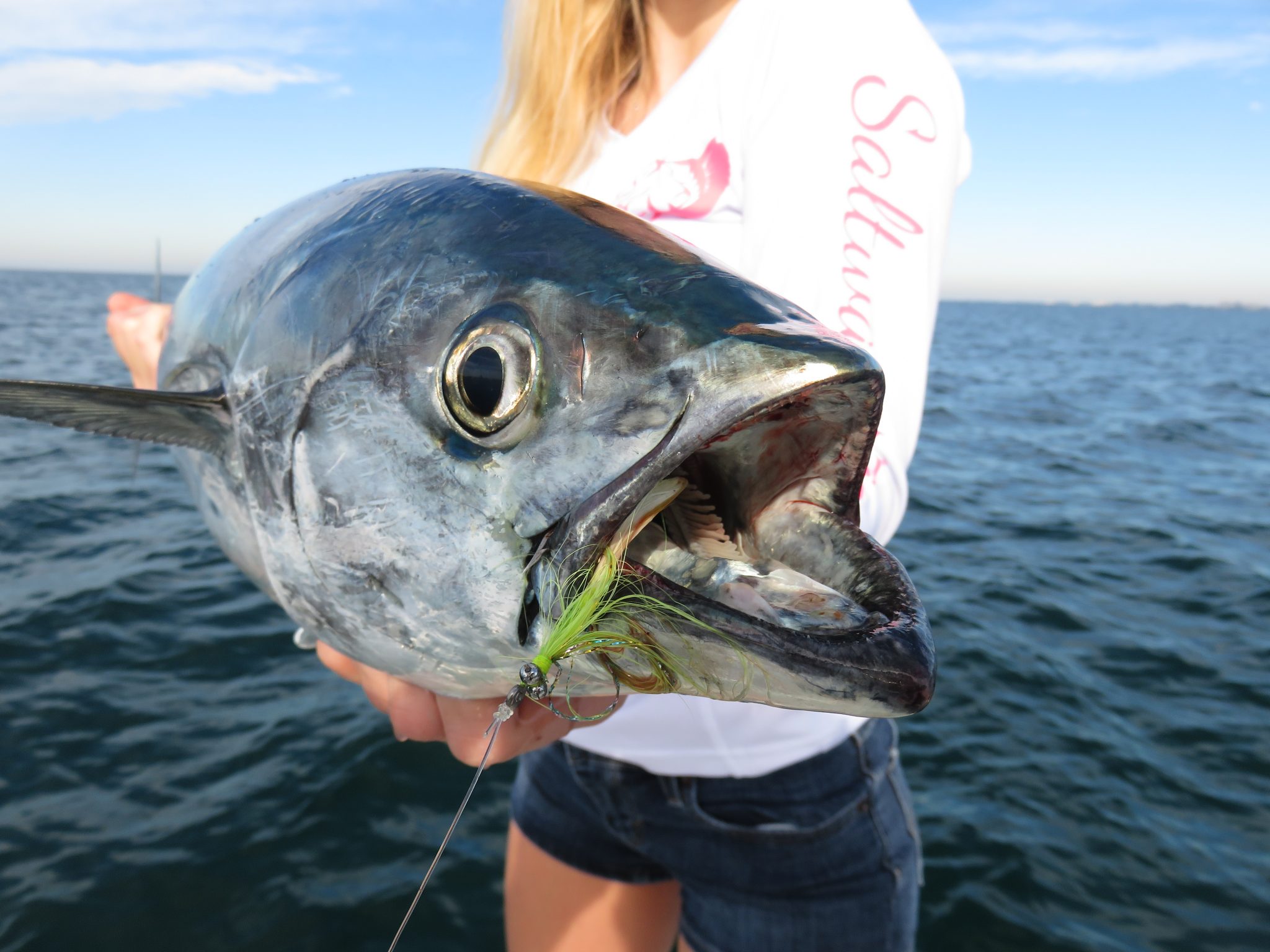 fly fishing sarasota gulf