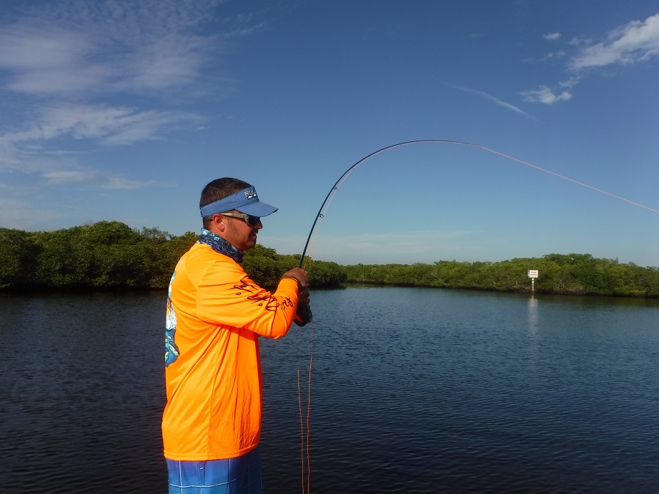 Sarasota fly fishing charters