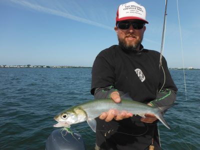 Sarasota flats fishing