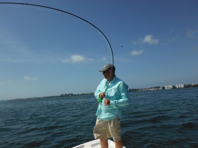 Sarasota fly fishing charters