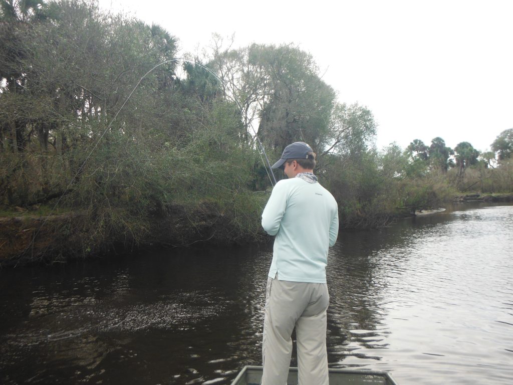 Sarasota fly fishing charters