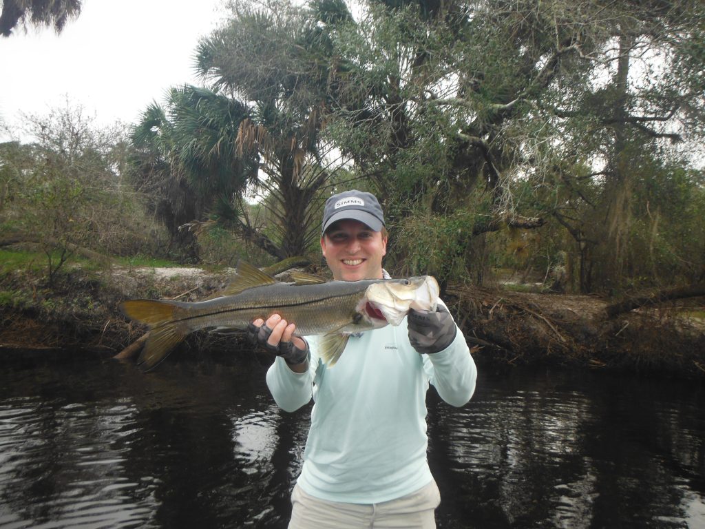 Sarasota fly fishing charters