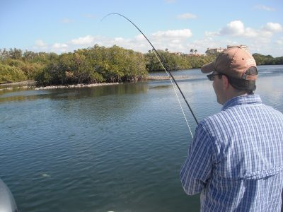 Sarasota fly fishing charters