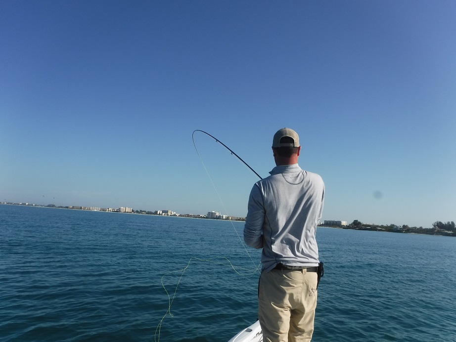 Sarasota fly fishing