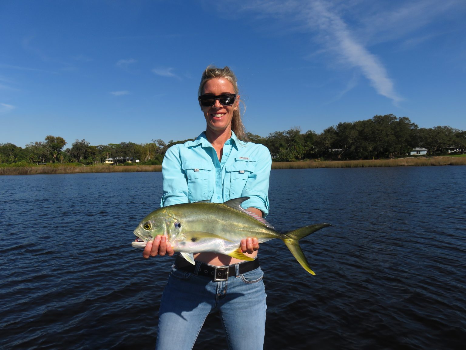 Fly Fishing for Jack Crevalle a Terrific Game Fish! Sarasota Fly