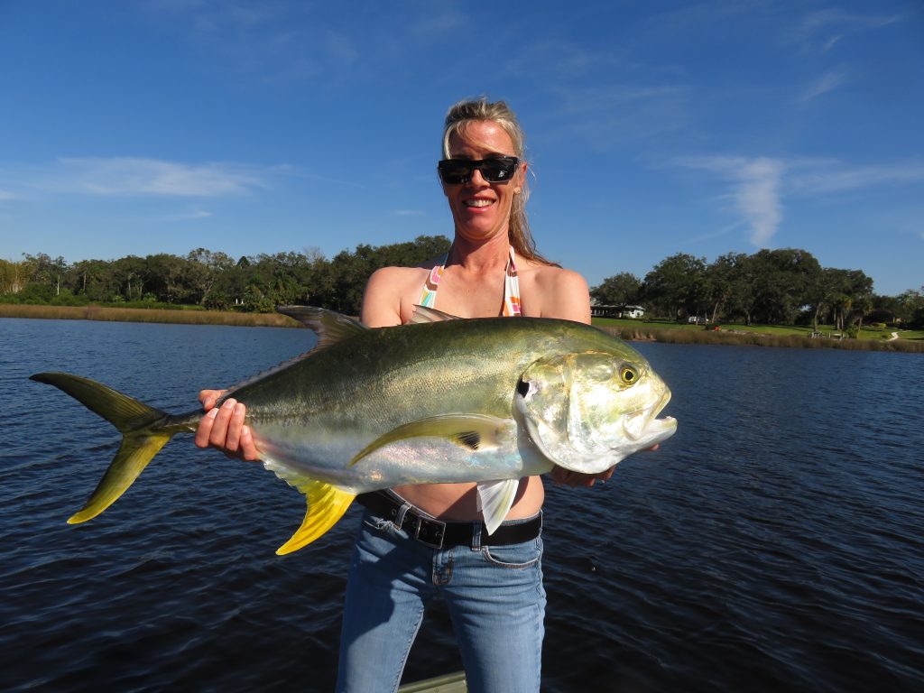 fly fishing for jack crevalle