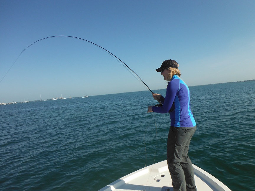 Fly Fishing for Ladyfish – an Underrated Species! – Sarasota Fly