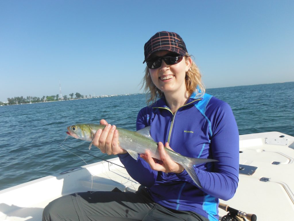 Fly Fishing for Ladyfish – an Underrated Species! – Sarasota Fly