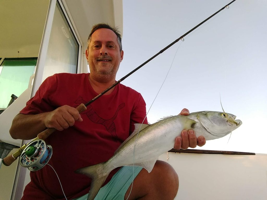 bluefish on fly