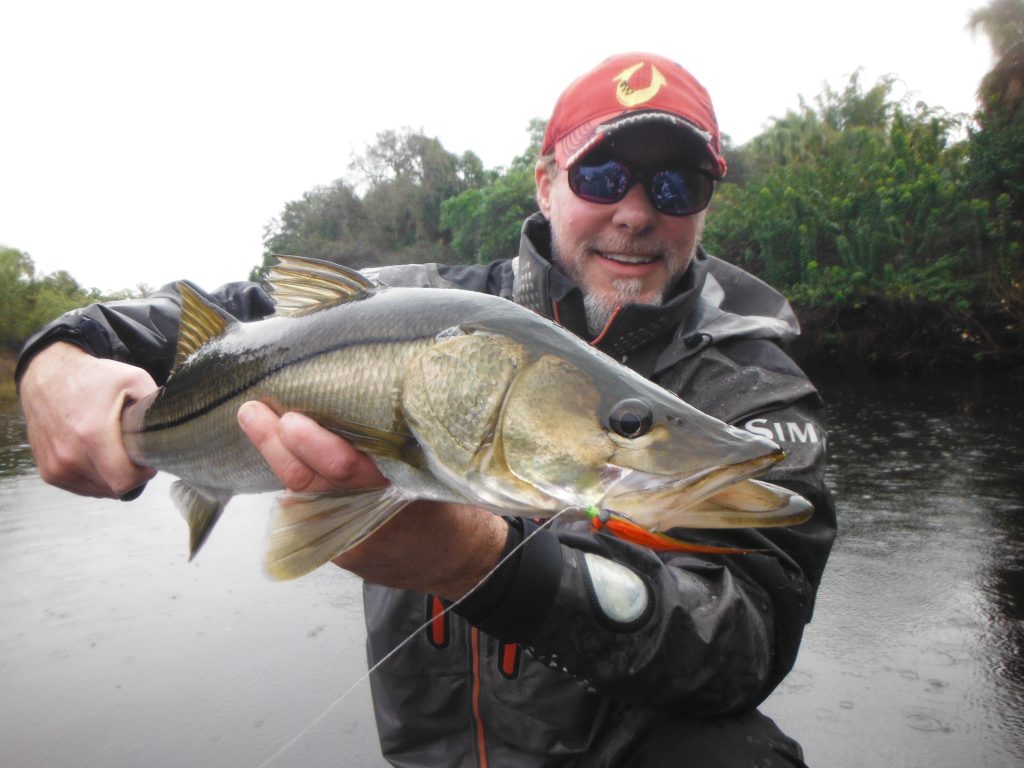 fly fishing for snook in Sarasota