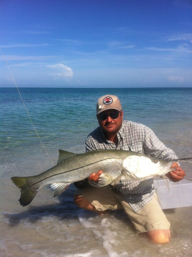 Sarasota fly fishing in summer